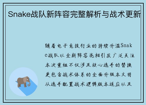 Snake战队新阵容完整解析与战术更新